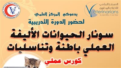 نقابة البيطريين، 