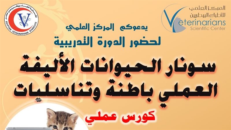 سونار الحيوانات الأليفة،