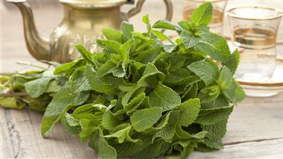 فوائد النعناع، الأفضل للقلب والمعدة والجهاز العصبي
