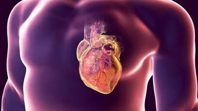 جمال شعبان يكشف حقائق مثيرة عن القلب وسرطانه النادر 