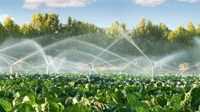 زراعة النواب تطالب بهيكلة التعاونيات والاستفادة من التكنولوجيا الحديثة 