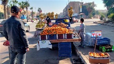 تحرير 10 محاضر للباعة الجائلين بحى ثالث الإسماعيلية (صور)