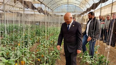 رئيس جامعة بنها يتفقد مزارع القمح والوحدات الإنتاجية بكلية الزراعة