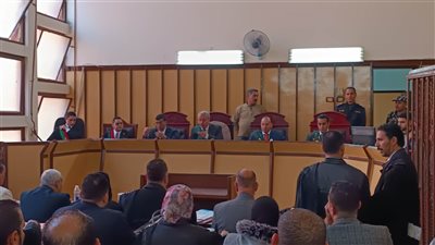 أخبار الحوادث اليوم.. التحفظ على أموال هدير عاطف وطليقها.. وإحالة أوراق المتهمة بقتل والدتها في بورسعيد للمفتي