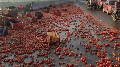 إصابة 11 في تصادم تريللا بميني باص على كوبري سندوب بالمنصورة