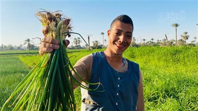 يساعد على ثبات مستويات السكر في الدم.. البصل الأخضر في المنيا،فاكهة الطبلية عند الصعايدة..المزارعون:زراعة البصل في نفس المكان عدة سنوات متتالية خطر (صور)