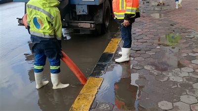 انتشار سيارات الصرف الصحي في شوارع وميادين الإسكندرية 