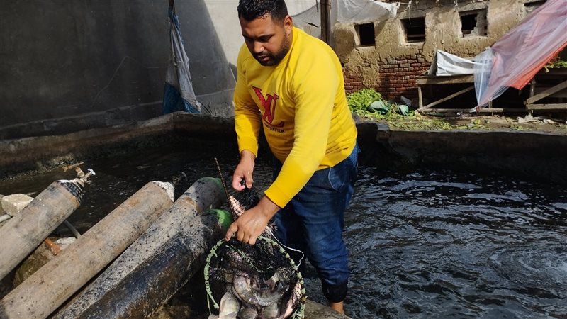  أحواض السمك بمدينة