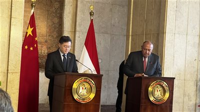 سامح شكرى يبحث قضية سد النهضة مع نظيره الصينى 