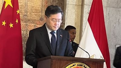 وزير الخارجية الصيني: اللي يشرب من النيل لازم يرجعله تاني