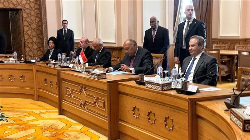 سامح شكرى وزير الخارجية