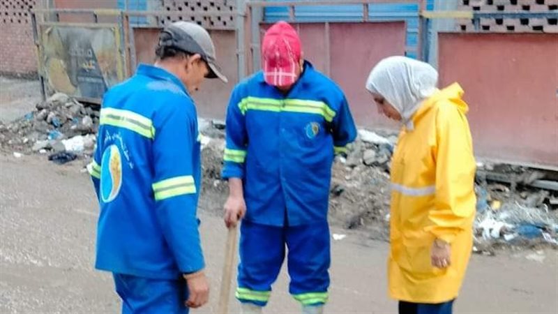 تطهير الشنايش بالإسكندرية،فيتو