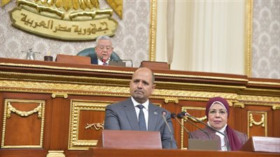 مجلس النواب، برلماني يطالب بمراجعة الأسعار بعد الاكتشافات البترولية 