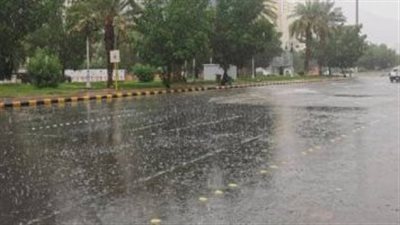 الأرصاد: سقوط أمطار غزيرة على المدن الساحلية (فيديو)