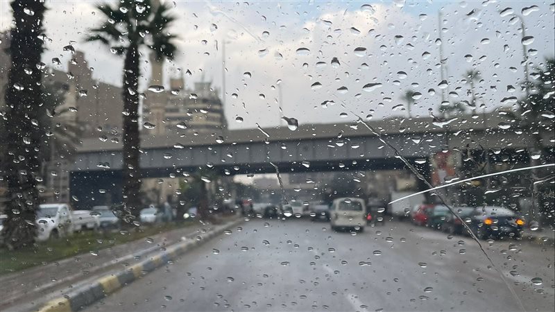 حالة الطقس غدا، فيتو