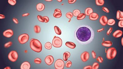  الممنوع والمسموح به لمرضى أنيميا نقص الحديد 