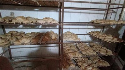 تحرير17 محضرا للمخابز البلدية المخالفة خلال حملة تموينية بديرمواس المنيا