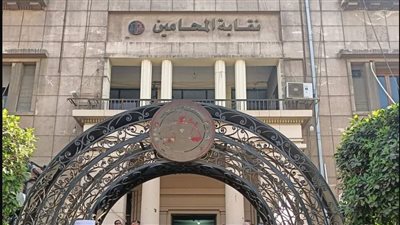 نقيب محامي شمال الجيزة: نؤيد كافة الإجراءات لحل أزمة محامي مطروح 