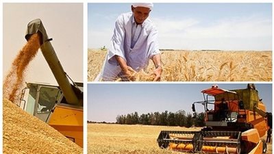 خبير اقتصادي: 7 خطوات ضرورية لتحقيق الأمن الغذائي المصري