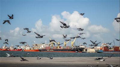 تداول 24 سفينة بضائع متنوعة بميناء دمياط