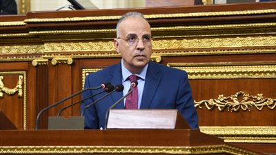 نائب يطالب بمحكمة متخصصة للنظر في التعديات على نهر النيل