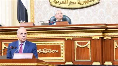 مواجهة النواب لوزير الري.. تساؤلات حول تبطين الترع ومخرات السيول.. ومطالب بمحكمة متخصصة للتعديات على نهر النيل