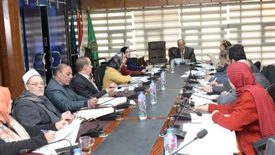 محافظ الدقهلية يكلف وكيل التضامن الاجتماعي برئاسة لجنة اختيار الأم المثالية