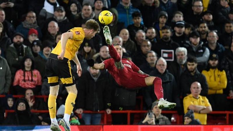 وولفرهامبتون وليفربول،