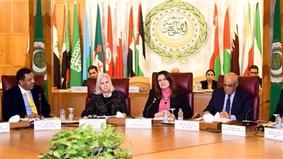 سها جندي: حرصنا على ربط الأسر المصرية في الخارج بالوطن