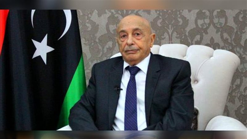 المستشار عقيلة صالح،