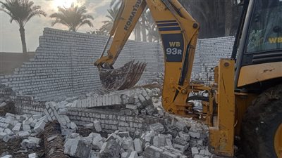 حملة لإزالة التعديات على الأراضي الزراعية وأملاك الدولة في الجيزة (صور)