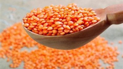  تراجع أسعار العدس مساء اليوم الثلاثاء 27-6-2023 في الأسواق
