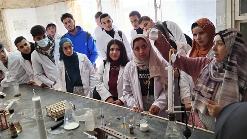 جامعة سمنود التكنولوجية،فيتو