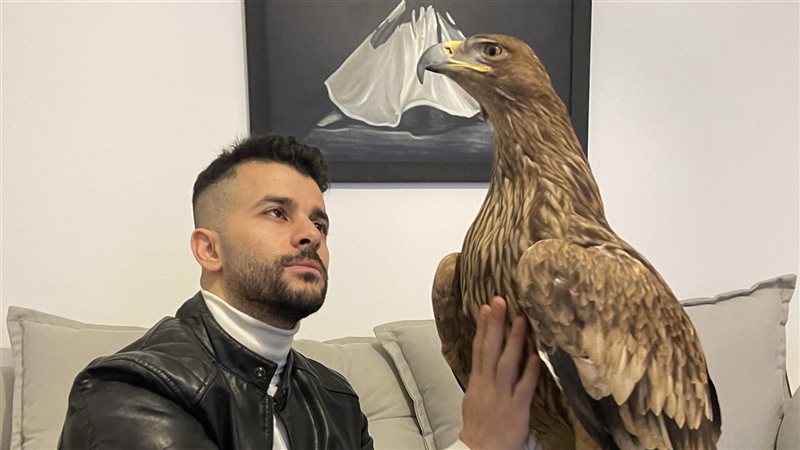 الفنان رامز أمير،