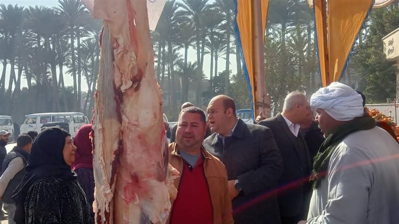 نائب محافظ الجيزة
