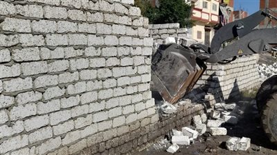 إزالة 18 حالة تعد على الأراضى الزراعية في الإسكندرية 