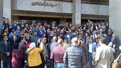 وقفة للمحامين أمام مجمع محاكم المحلة (صور)