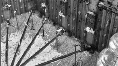 كون 25، حكاية تجربة أرعبت العالم بدأت بالجنة وتحولت إلى جحيم