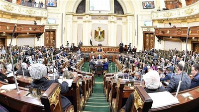 حقوق إنسان النواب تناقش أزمة عدم تفعيل كود الإتاحة لذوي الإعاقة