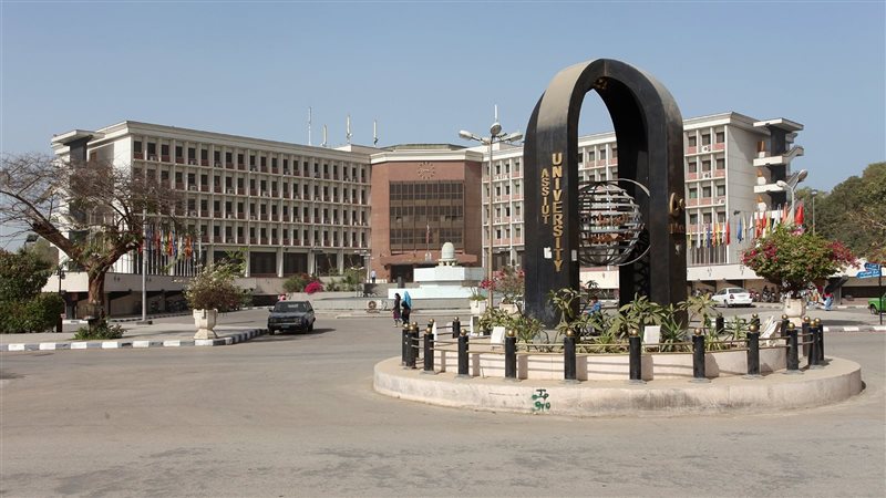 جامعة أسيوط، فيتو