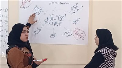 وزارة الشباب والرياضة تواصل تنفيذ أندية البحث عن وظيفة بالمحافظات