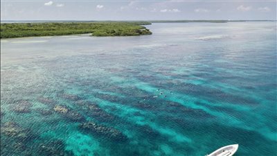 رجل تائه في البحر الكاريبي لمدة 24 يوما والكاتشب ينقذ حياته