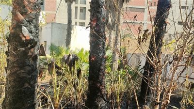 إخماد حريق نشب بالحديقة الخلفية لمركز طب أسرة في الدقهلية