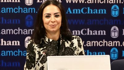 اليوم، محاكمة المتهمة بسب وقذف رئيس المجلس القومي للمرأة على مواقع التواصل