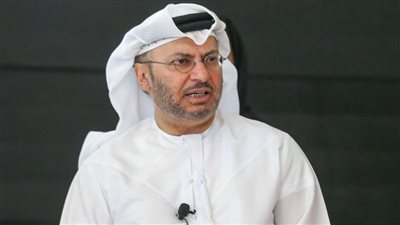 قرقاش: وقوف الإمارات مع مصر الشقيقة موقف مبدئي راسخ