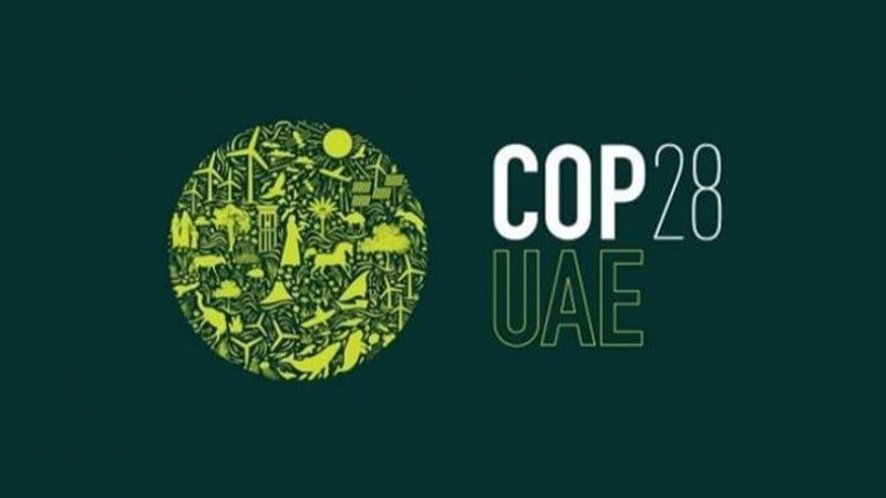 مؤتمر المناخ، فيتو