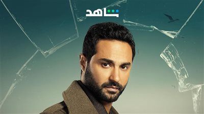 أزمة منتصف العمر، بوسترات أبطال المسلسل (صور)