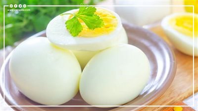 يحسن الذاكرة ويمنع التوتر.. فوائد تناول البيض أيام الامتحانات (انفوجراف)