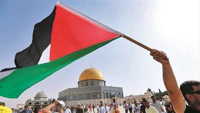  فلسطين، فيتو