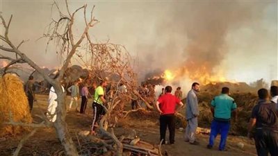 إخماد حريق محدود شب في حشائش جافة بجزيرة نيلية بالمنيا